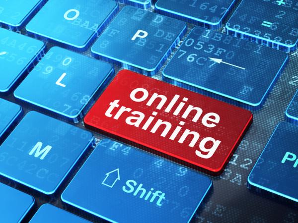 Afsluiting Brug naar Werk trainerscursus online